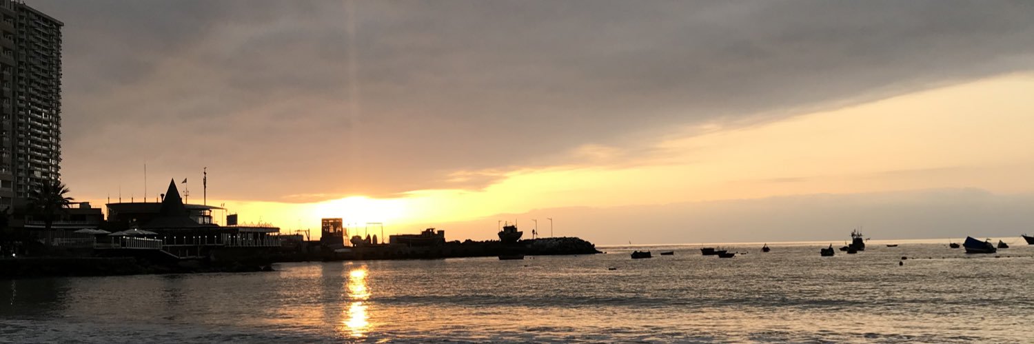 CaroDanielaBoop's profile banner image
