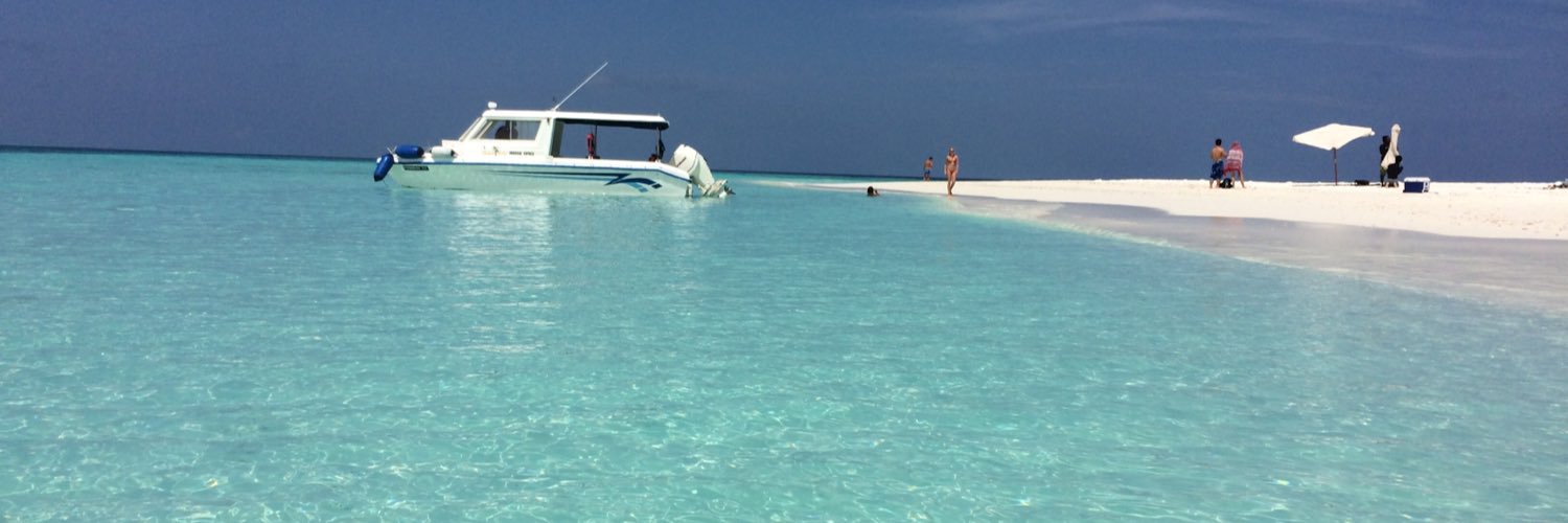 Stephanie Kaye banner