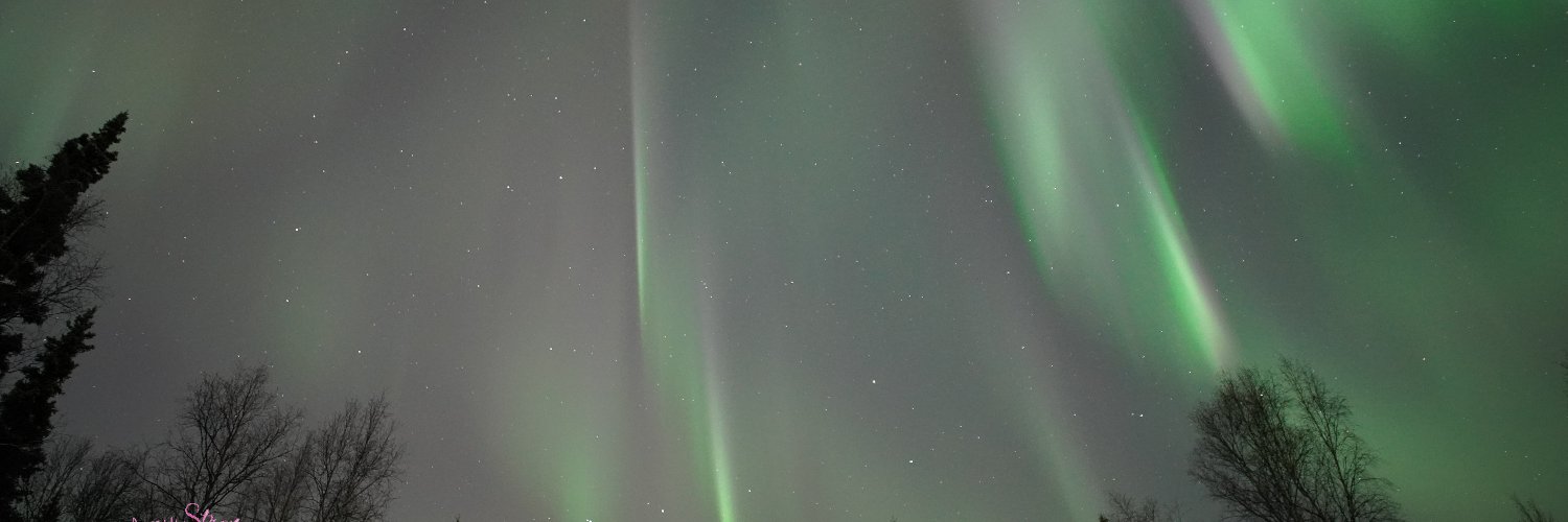 AuroraNotify banner
