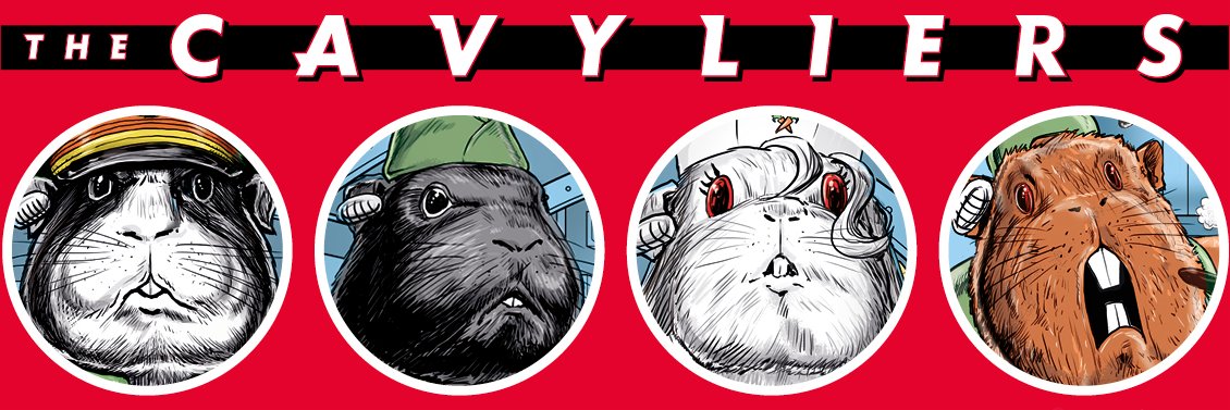 Mr. Steve Ross banner