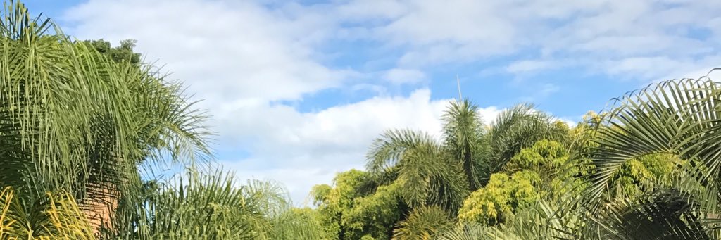 ba5ati_'s profile banner image
