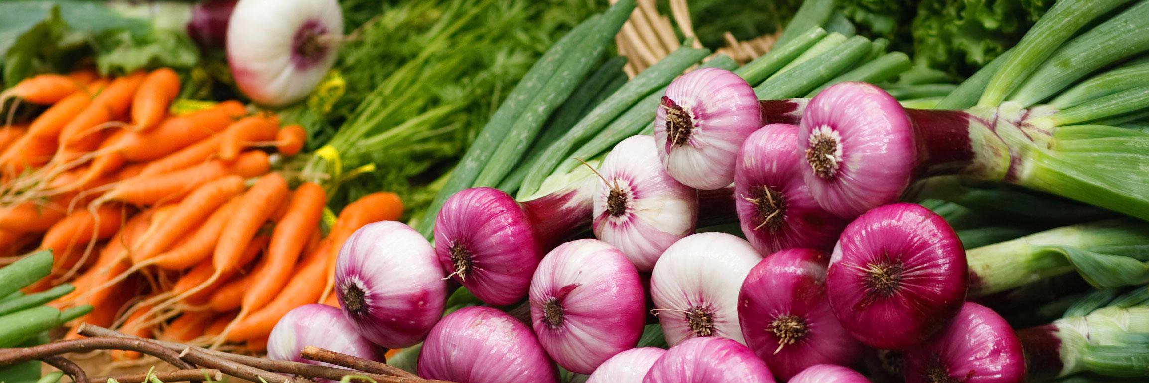 HandelFoodLaw's profile banner image