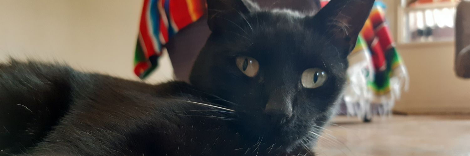 triwidad's profile banner image