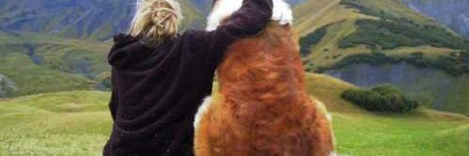 steffymunch's profile banner image