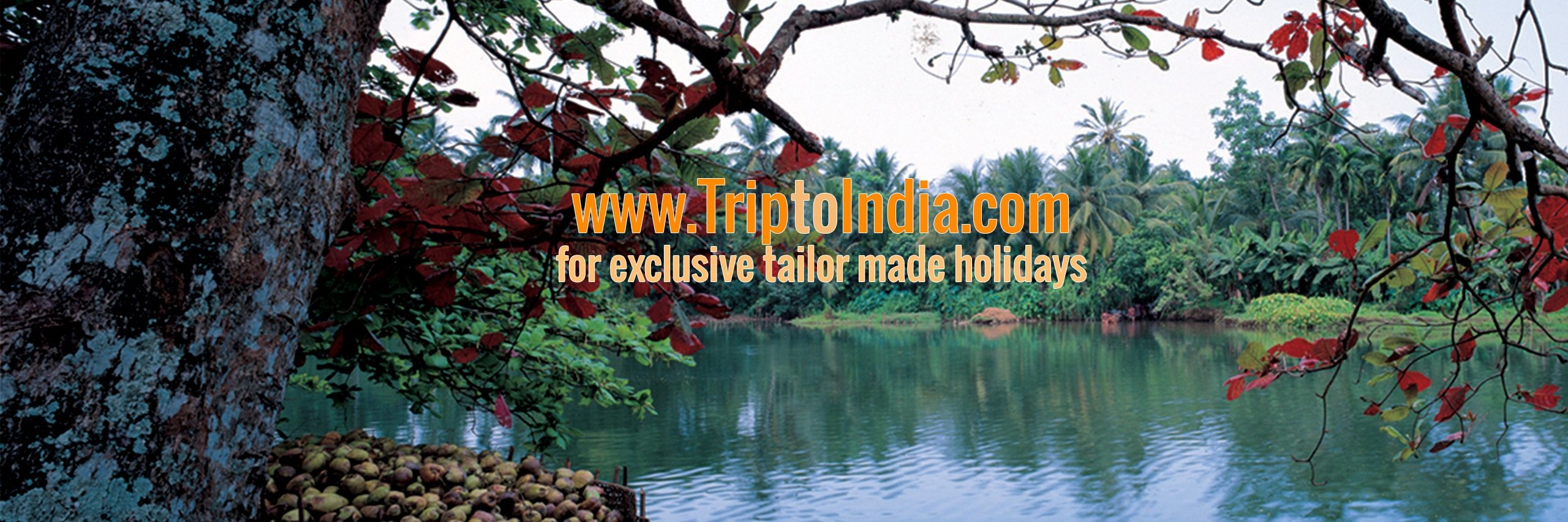 triptoindia's profile banner image