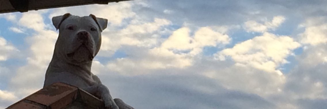 eduaardb's profile banner image