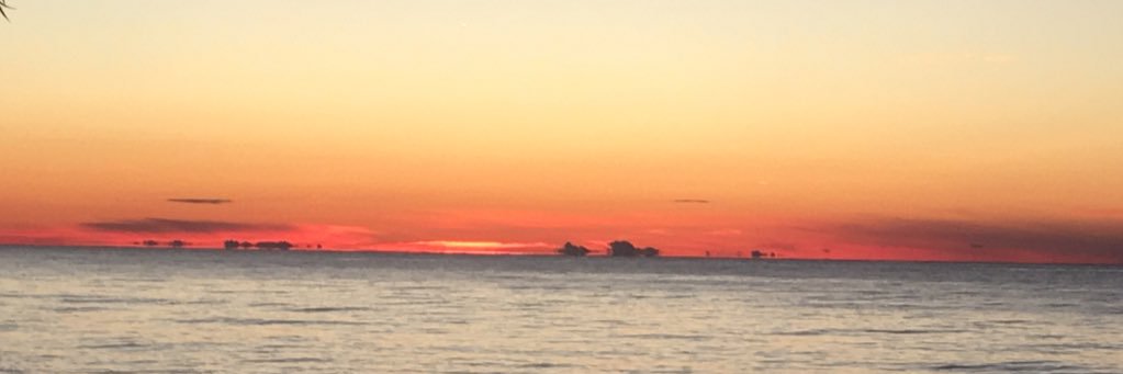 mandyfriesen2's profile banner image