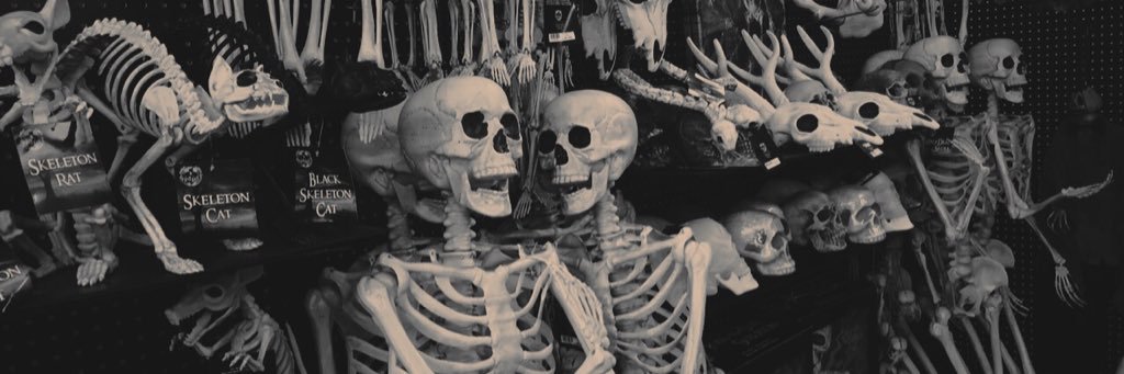 AngiePrencipe's profile banner image