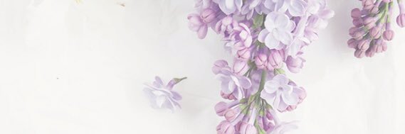 chellzee's profile banner image