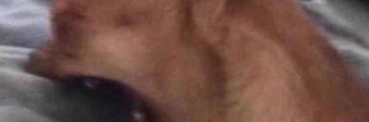 1Mzar_'s profile banner image