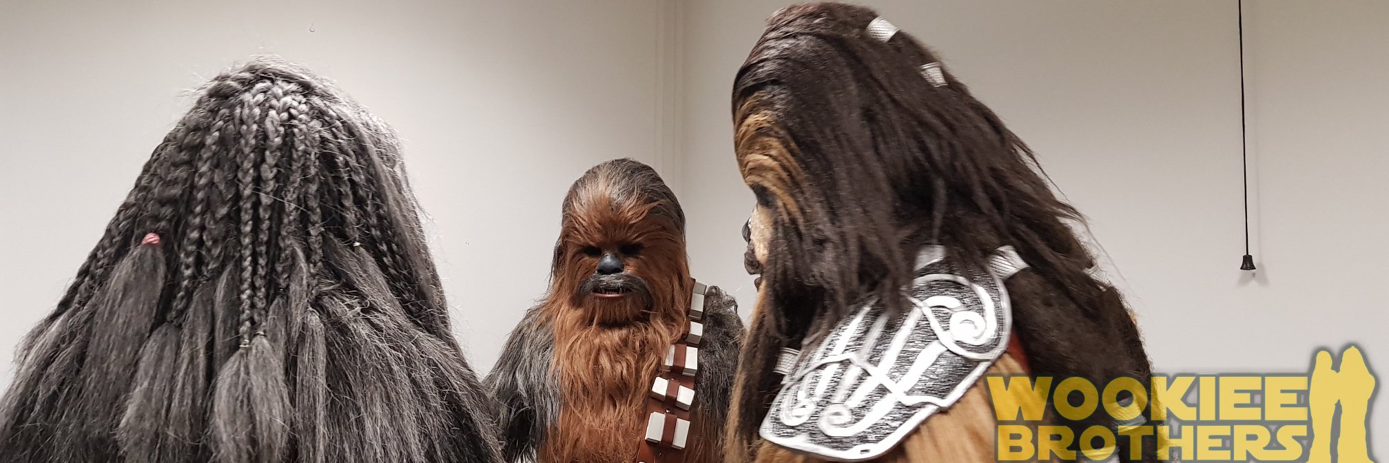 WookieeBrothers's profile banner image