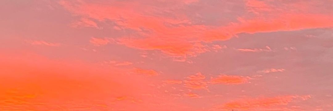 nadiamantock's profile banner image