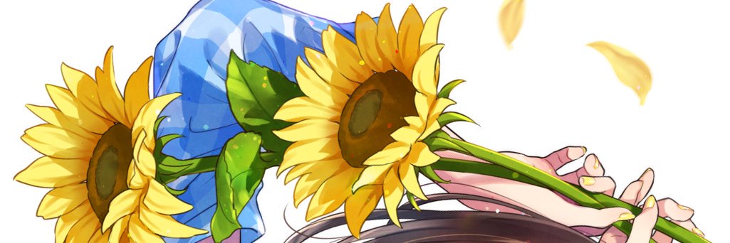 wordcat's profile banner image