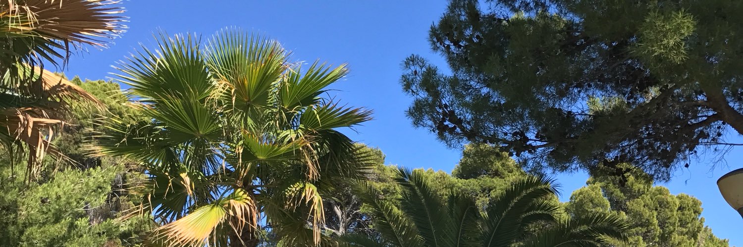 eangelosanto1's profile banner image