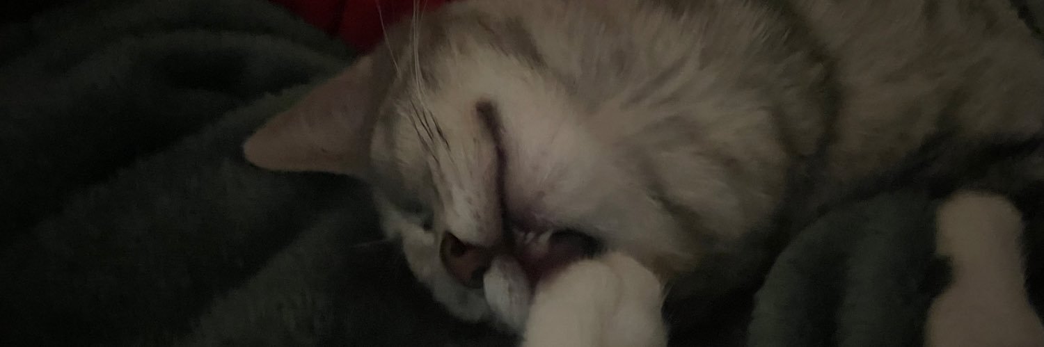 MeganSokolowski's profile banner image