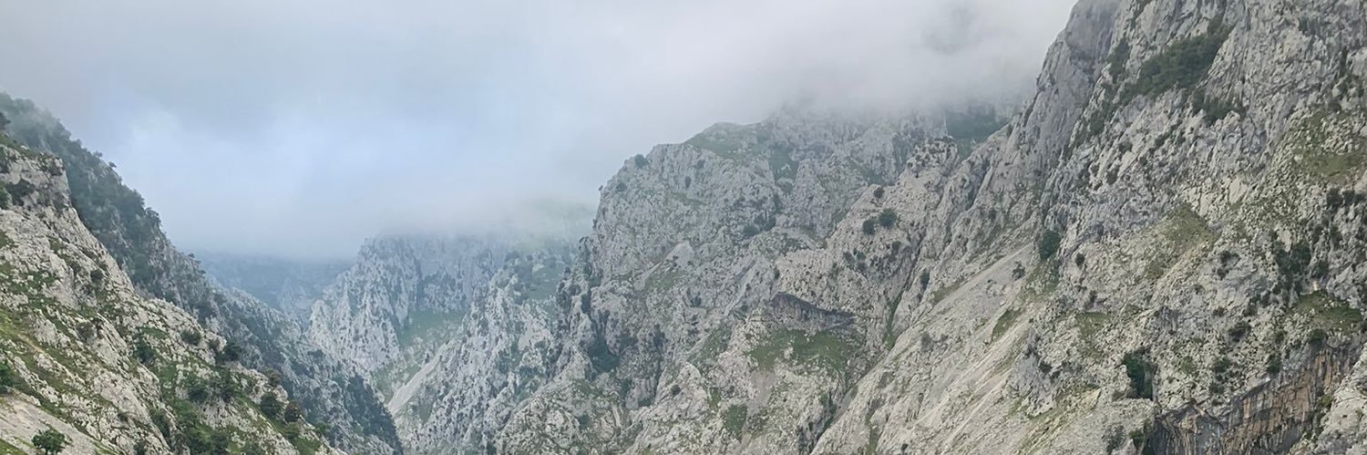 pinadonn's profile banner image