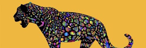 megsraye's profile banner image