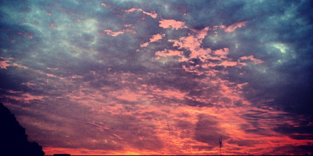 Emily Abernathy banner