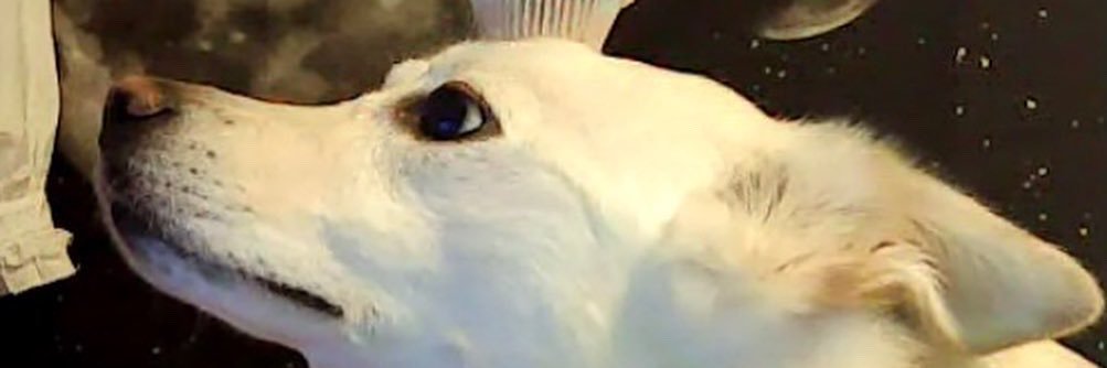 Conner_Lycan's profile banner image