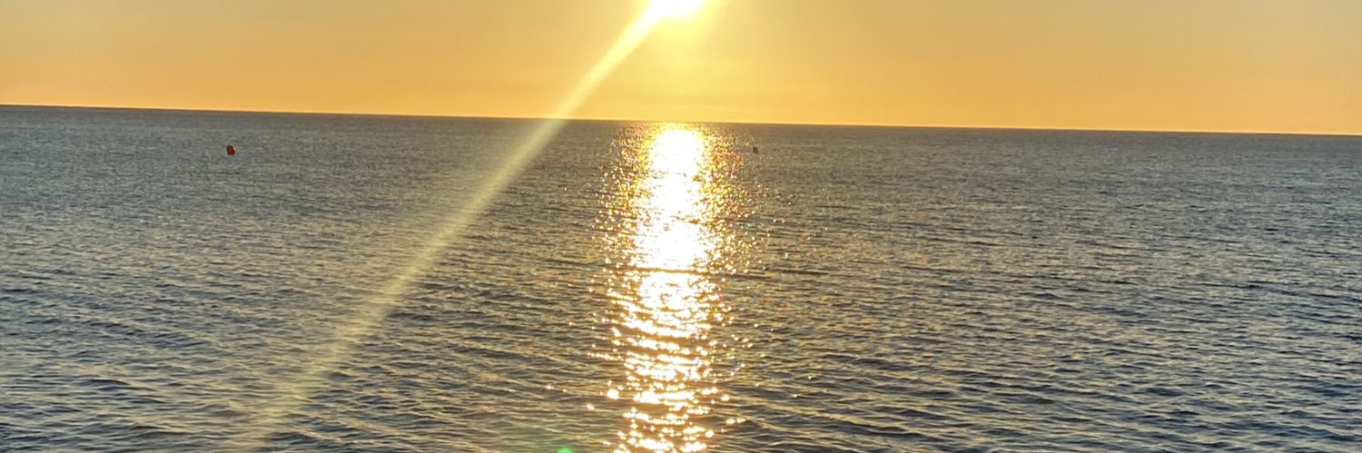 Frieda Halpenny banner