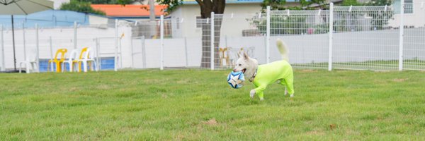 taegang150930 Profile Banner