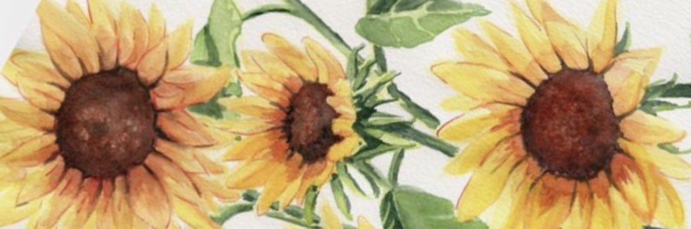 EmilyNess5's profile banner image