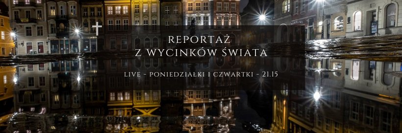 mbialkowska's profile banner image