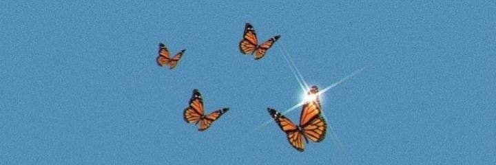 _danimds's profile banner image