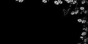 EriasRex's profile banner image
