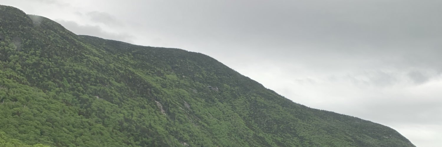 Thomas Stringer banner