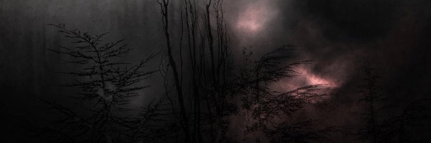 zaiikuma's profile banner image