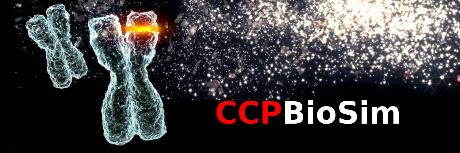 CCPBioSim banner