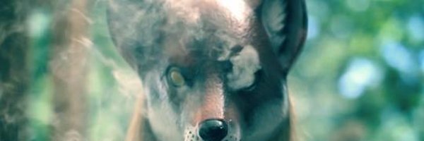 imthatnuna Profile Banner
