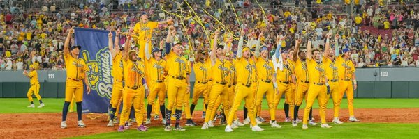 TheSavBananas Profile Banner