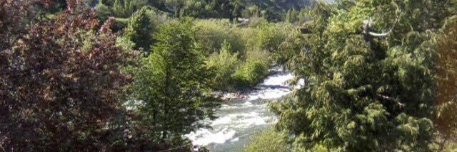 Cata Bräutigam Lagomarsino banner