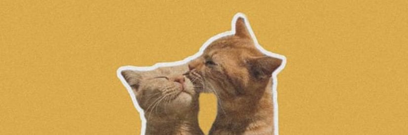 anabebandera's profile banner image