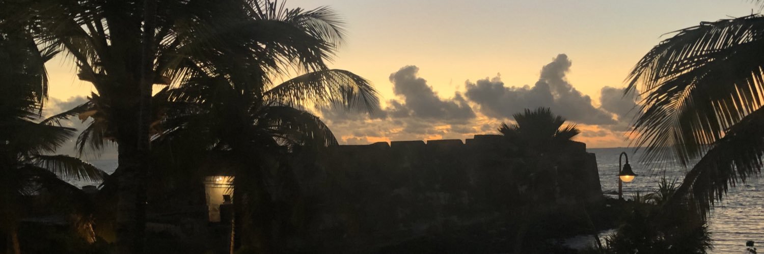 aleexsitler's profile banner image