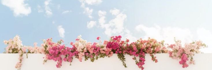bheaabells's profile banner image
