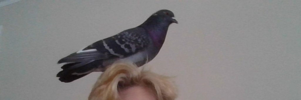 danniebirdk's profile banner image