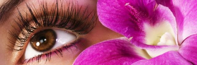 LashMoi's profile banner image