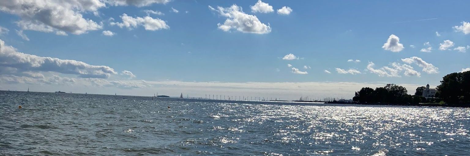 Caroroj97's profile banner image