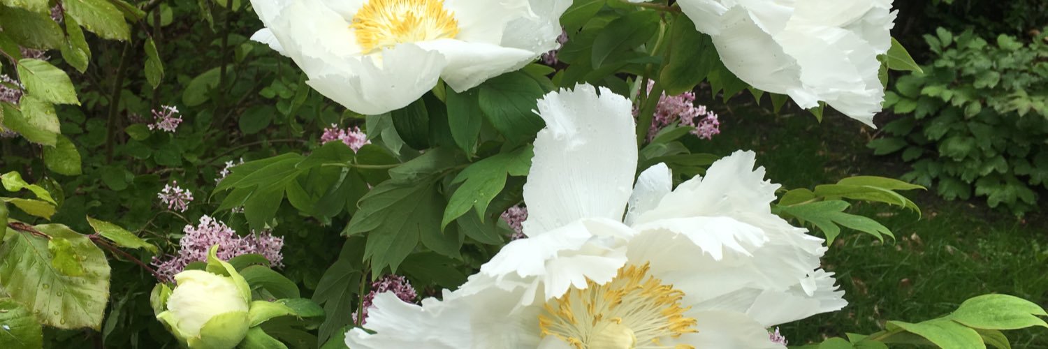 IGrunwald's profile banner image