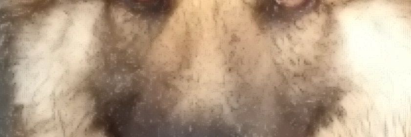mikey73b's profile banner image