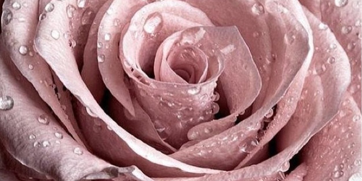 donalee14's profile banner image