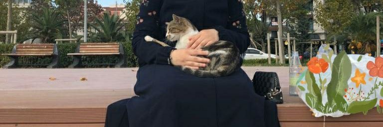 karginnuriye's profile banner image