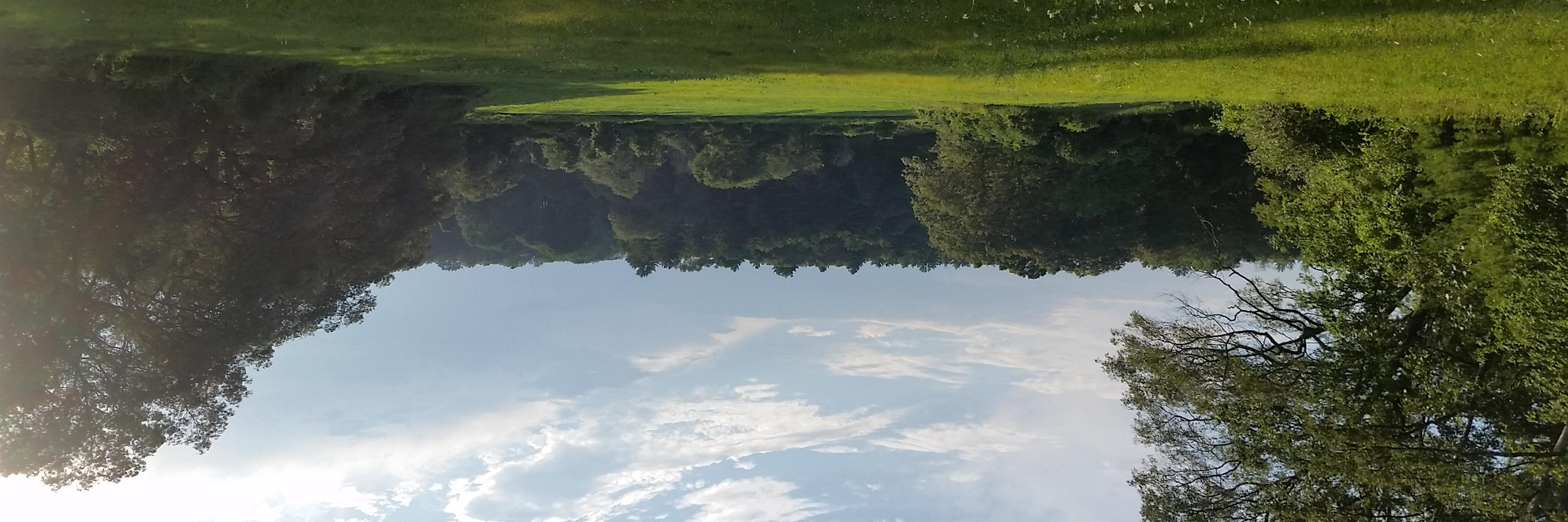 rmillerMWC's profile banner image