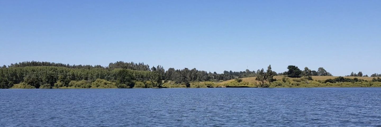 Alferthiro's profile banner image
