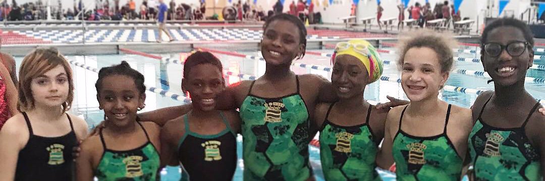 DC Wave Swim Team banner