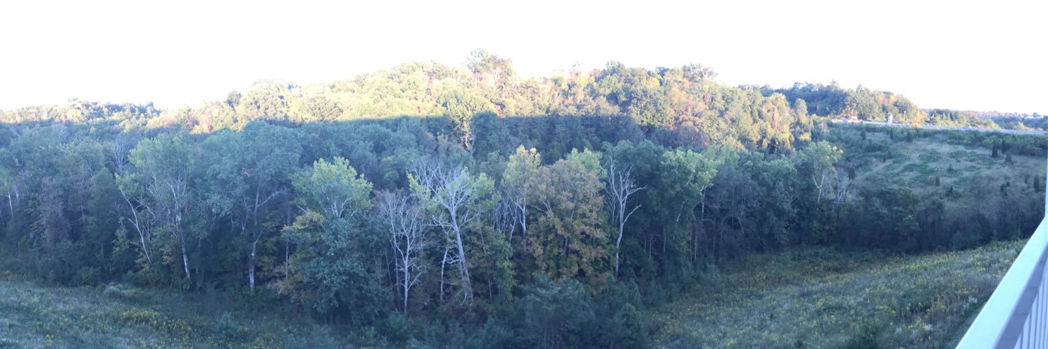 MSA4423's profile banner image