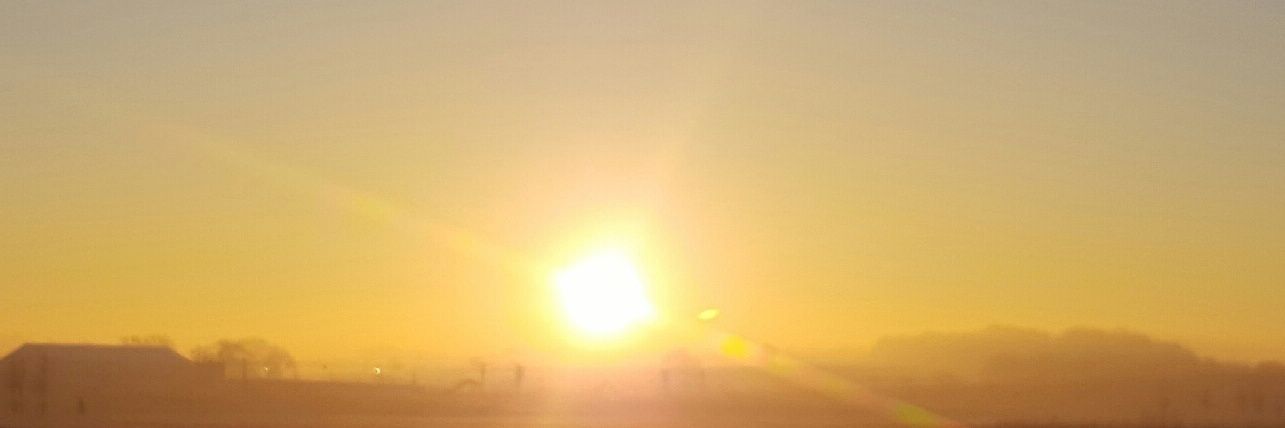 Adrian Edwards banner